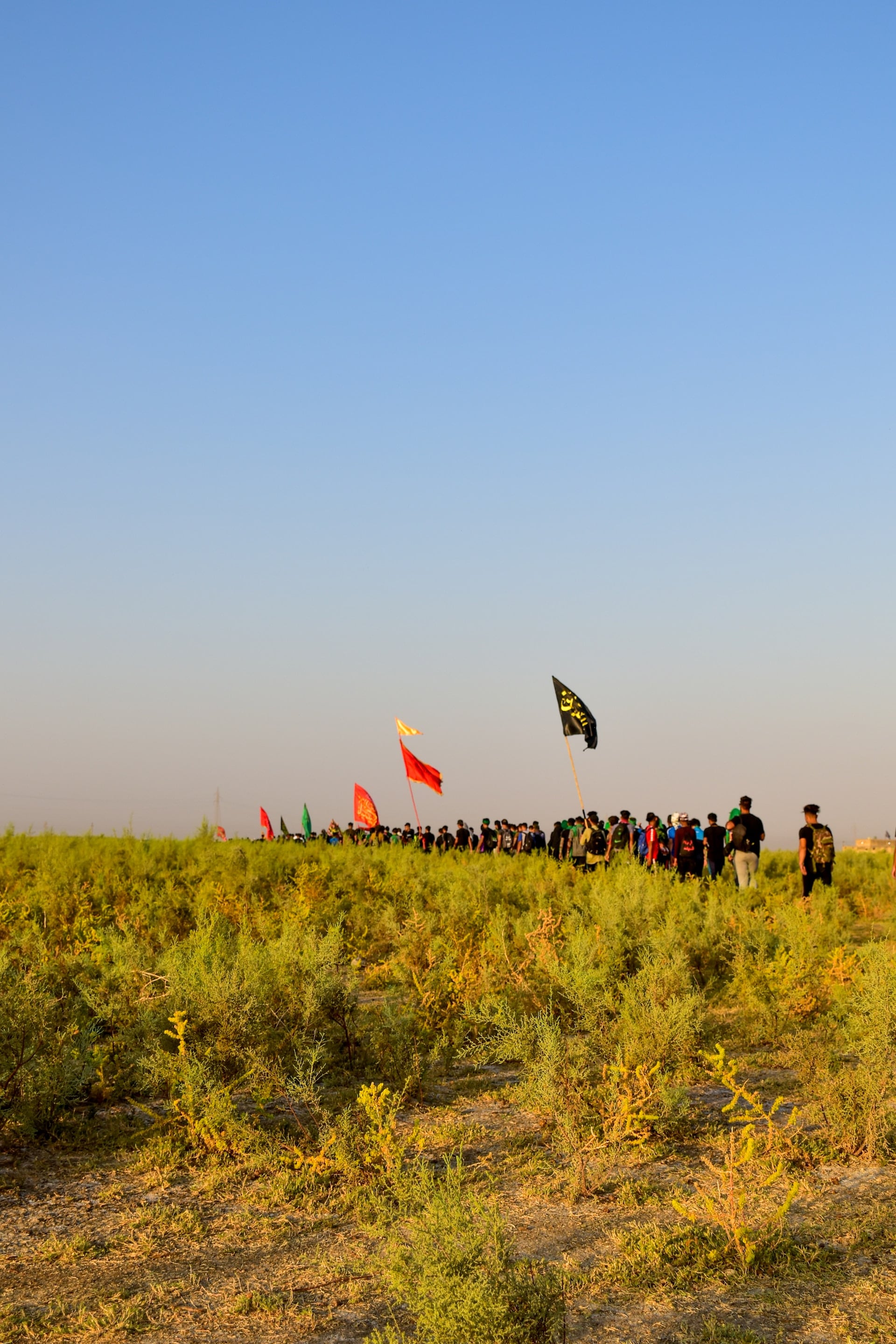 A big group of happy hikers crossing a field carrying colorful flags.